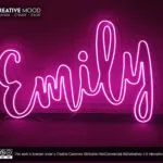 ‘Emily’ Pink LED Neon Sign
