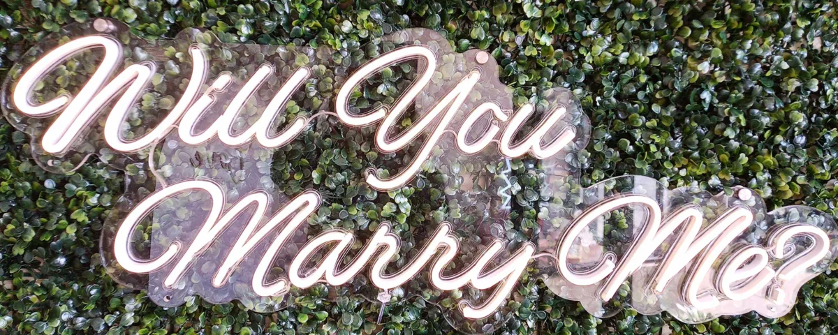 ‘Will You Marry Me?’ Cool White LED Neon Sign