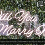 ‘Will You Marry Me?’ Cool White LED Neon Sign
