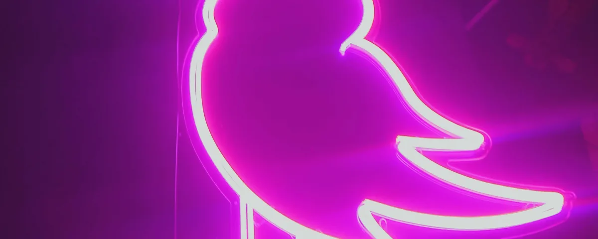 Bird-Shaped Pink LED Neon Sign