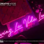 ‘Living La Vida Levy’ Pink LED Neon Sign