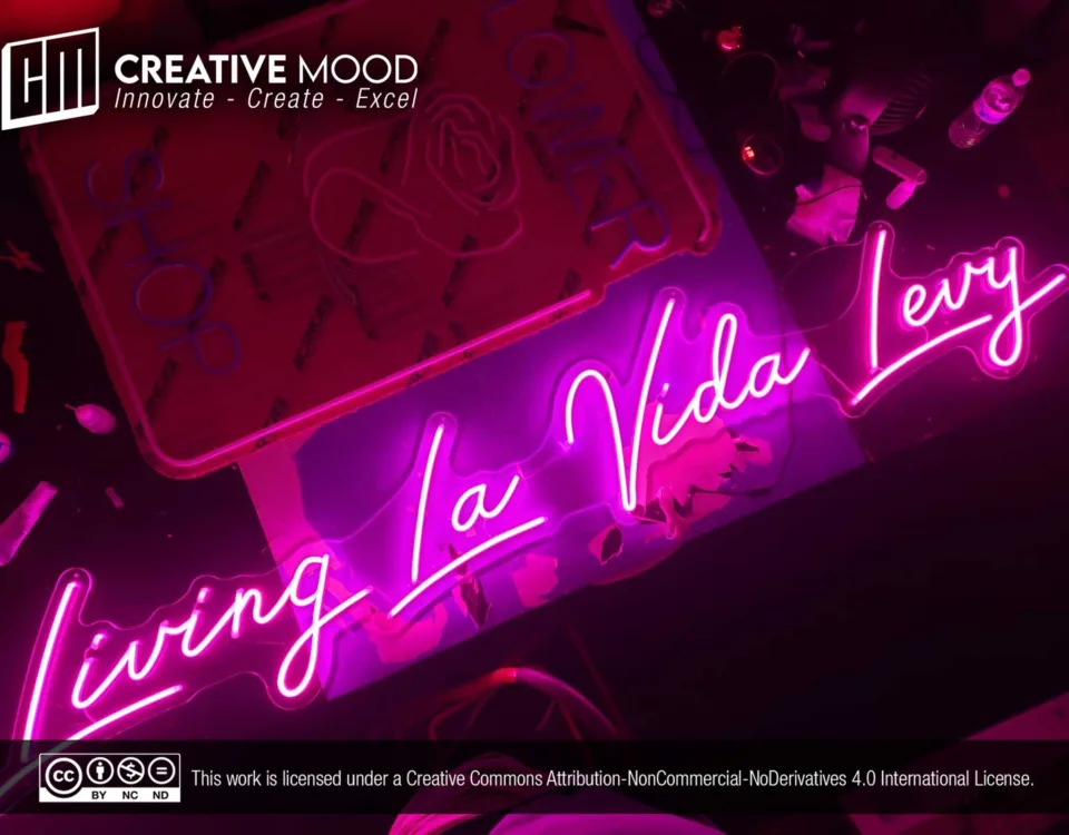 ‘Living La Vida Levy’ Pink LED Neon Sign