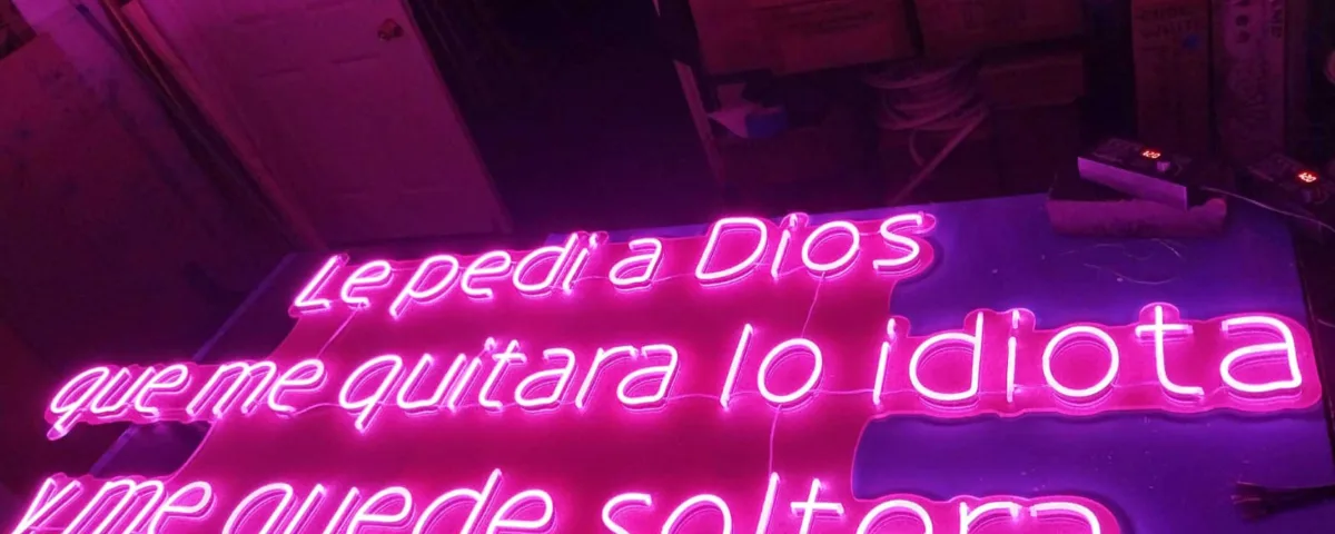 ‘Le pedí a Dios que me quitara lo idiota y me quede soltera’ Pink LED Neon Sign